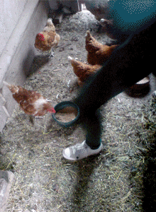 ostern | 2015 | triptychon digitale fotografie