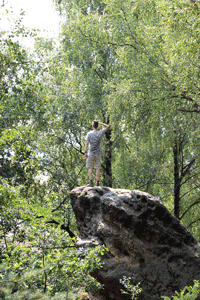 wanderer im blättermeer | 2015 | digitale fotografie
